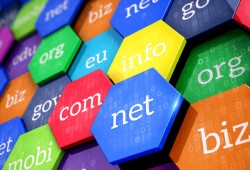 Важность проверки доменного имени