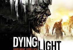 Dying Light — описание